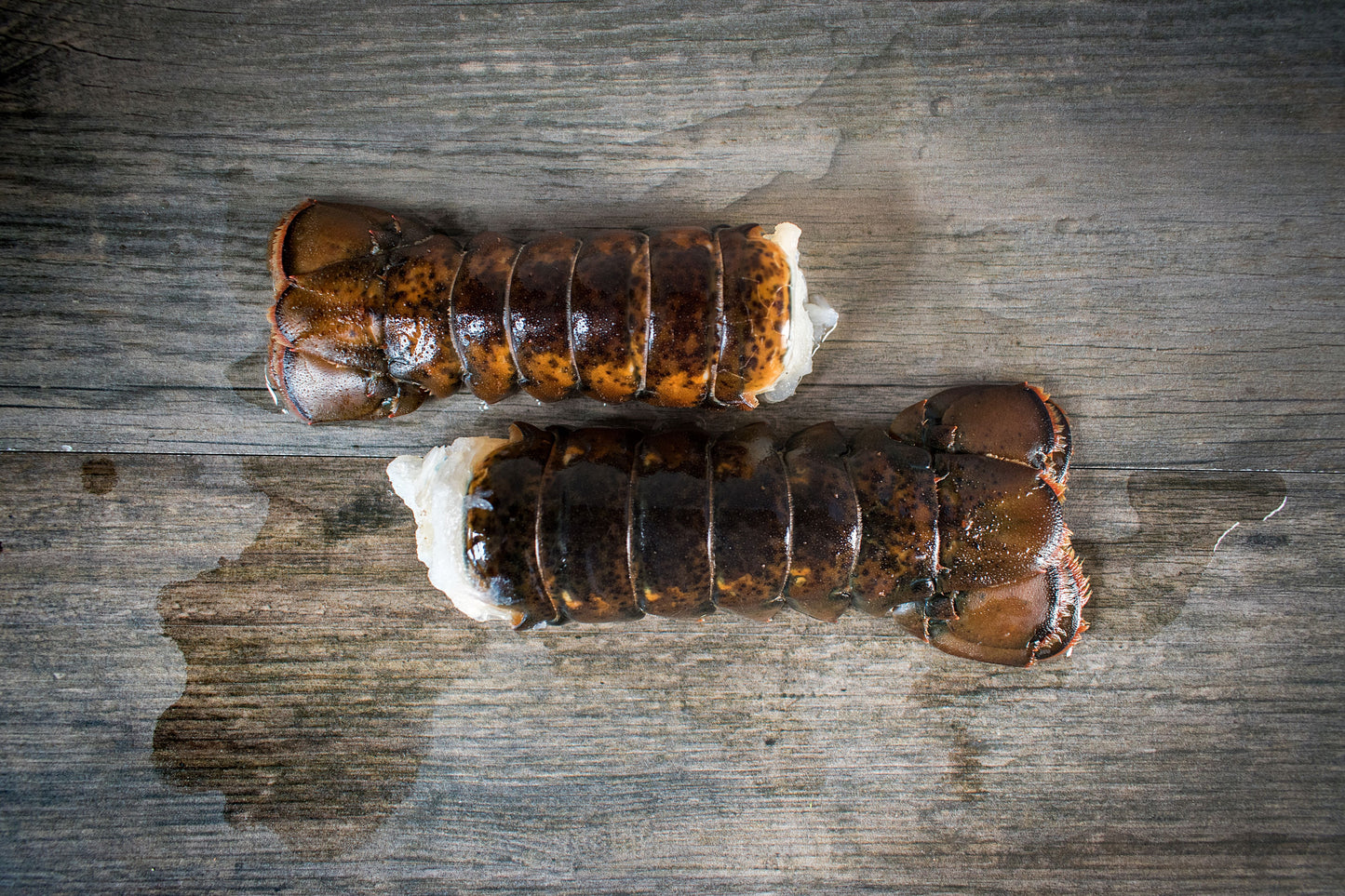 Lobster Tails - 2 (4oz) tails