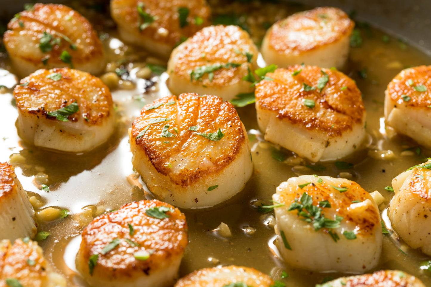 Jumbo Wild Scallops